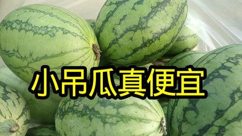 郑州今日小吊瓜价格,实惠与品质并存