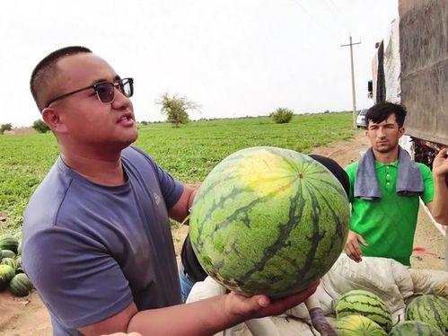 今日吃瓜现状图片