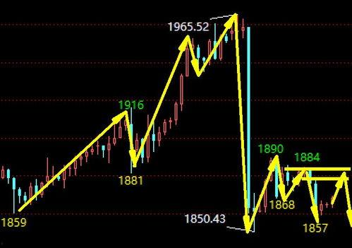 今日白瓜行情走势分析