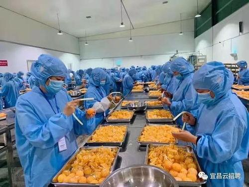 瓜沥今日招工长白班瓜沥