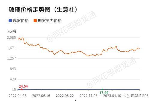 瓠瓜今日价格行情走势,今日行情走势解析