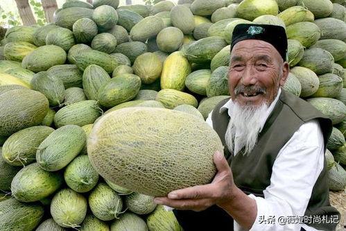 新疆哈密瓜今日头条