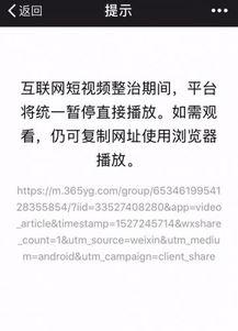 上海今日头条卖瓜事件视频,视频揭露网络营销乱象