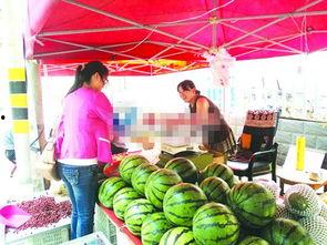 今日瓜价潍坊,瓜价波动，新鲜资讯速递