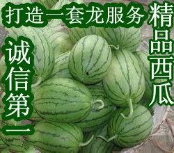 今日瓜价潍坊,瓜价波动，新鲜资讯速递