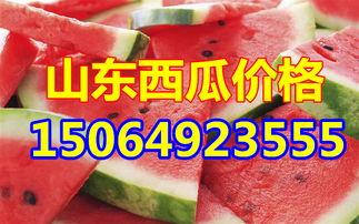 云谋今日瓜价,今日瓜价动态解析