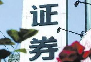 云谋今日瓜价,今日瓜价动态解析