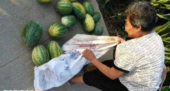 临海今日吃瓜事件最新进展