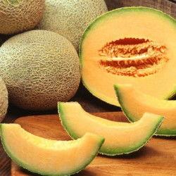 山东哈密瓜产地今日价格,新鲜直供，实惠之选