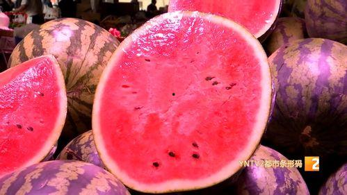 北京麒麟瓜今日行情